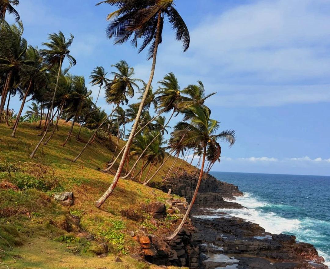 Sao Tome and Principe Guided Tours