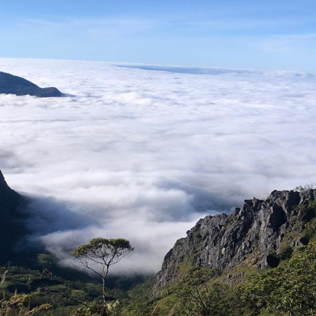 Timor Leste (East Timor) 3 Days Guided Tour